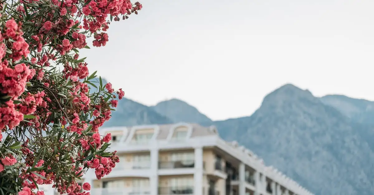 Hotel in Antalya: Vind jouw ideale verblijf!