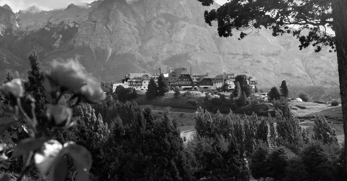 Hotel Zwarte Woud: Vind uw ideale verblijf in de natuur